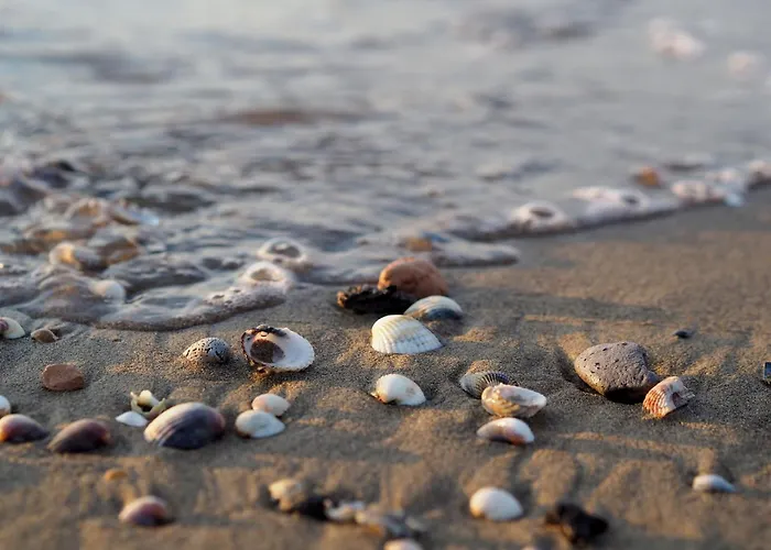 Retreat With Shared Pool Appartamento *